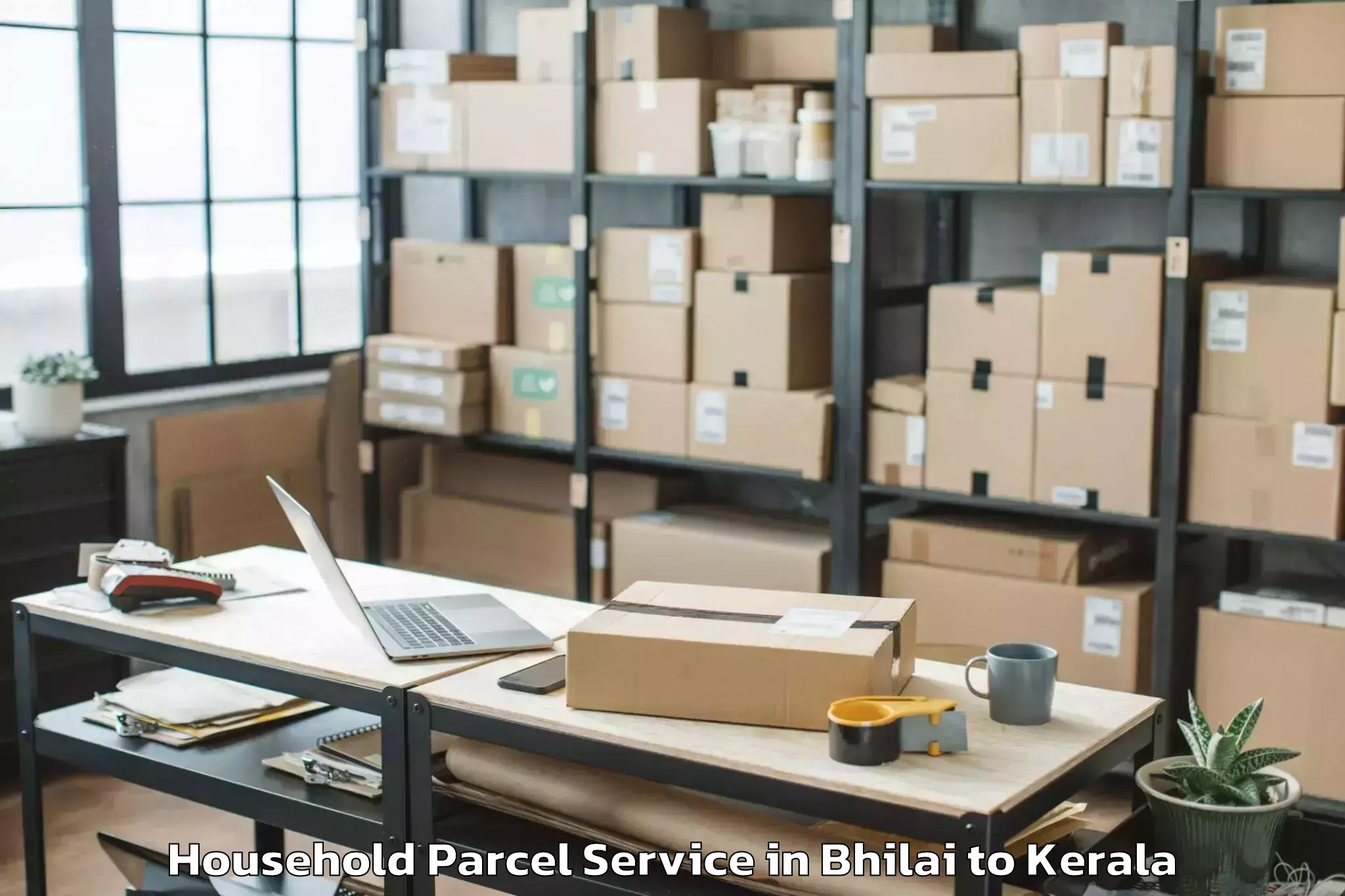 Reliable Bhilai to Shoranur Household Parcel